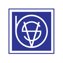 BSV logo